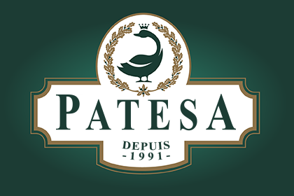 Patesa