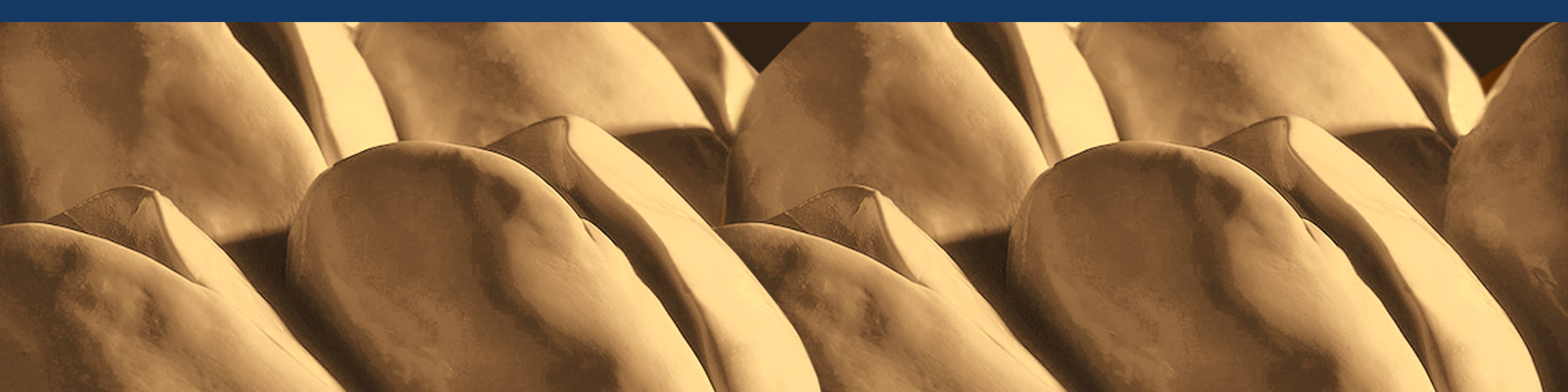 Алианс Агрикол-АЛАГ - Дейност и производство