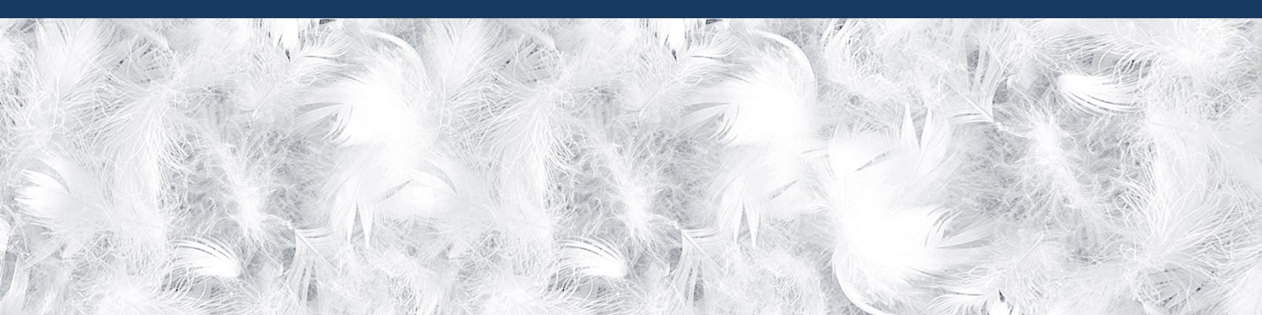 Алианс Агрикол-АЛАГ - Контакти